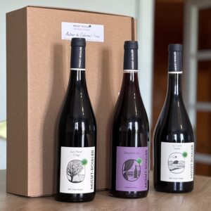 Coffret - Autour du Cabernet Franc